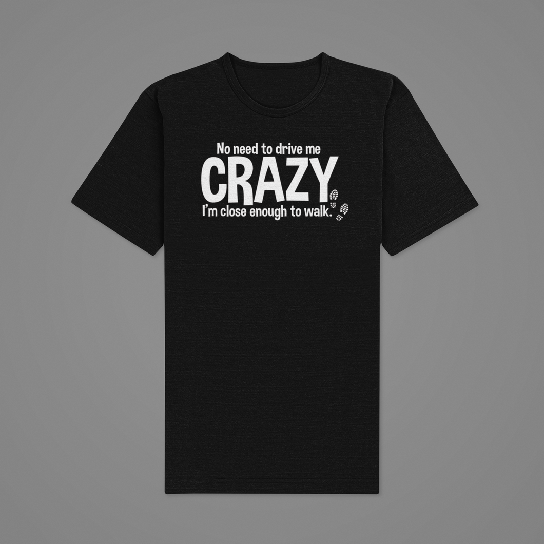 Sarcastic T Shirt, Fun T Shirt, Humorous T Shirt, No Need To Call Me Crazy HTV-D-n-R Design