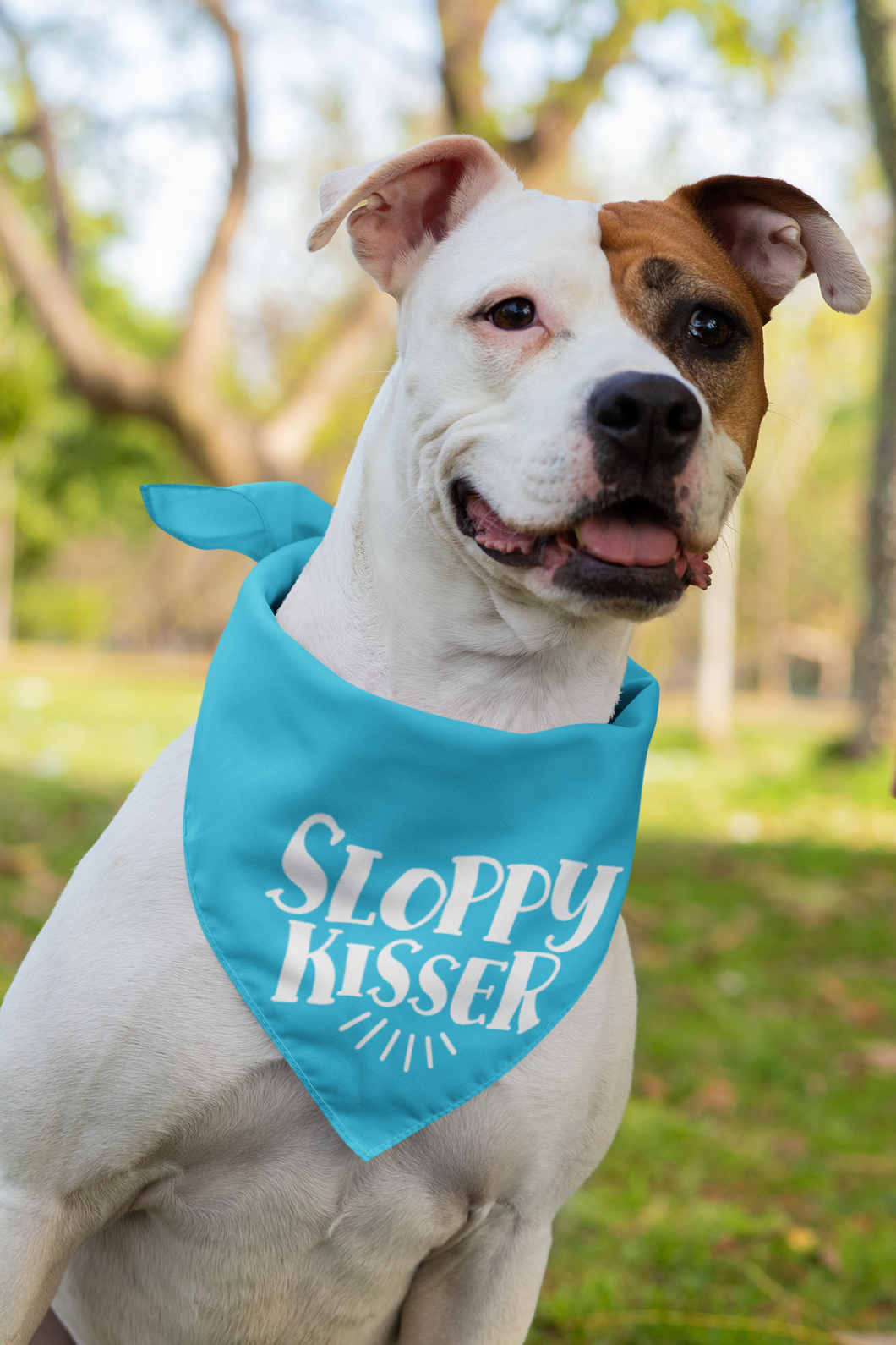 Fun Bandana for Dogs - Sloppy Kisser HTV-D-n-R Design